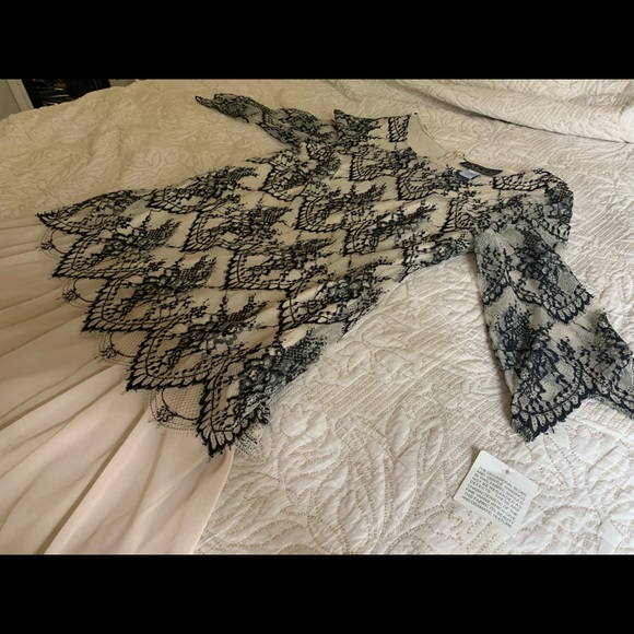 Alex Evenings lace chiffon gown - Picture 4 of 9